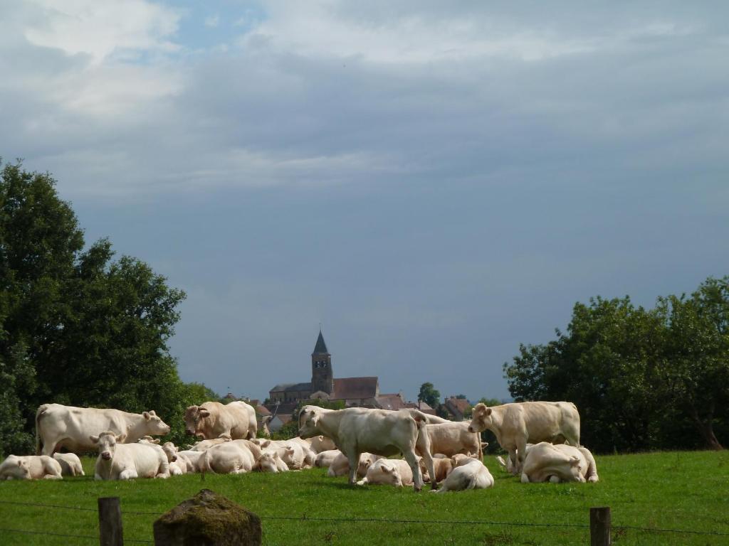 Chateau De Clusors Saint-Menoux Eksteriør billede